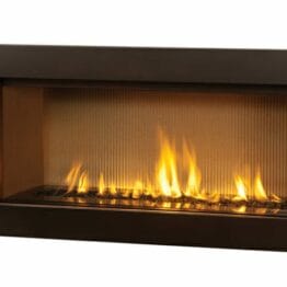L1 Linear Series
